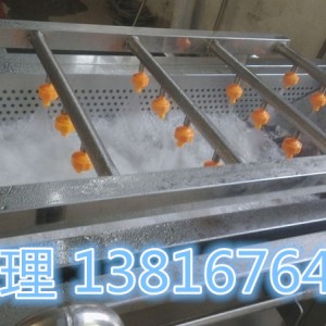 上海厂家直销水果大枣清洗机价格优惠