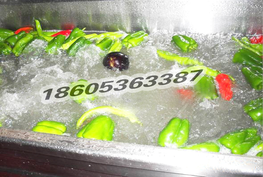 果蔬清洗机 酒店自动输送蔬菜清洗机 商用超声波洗菜机