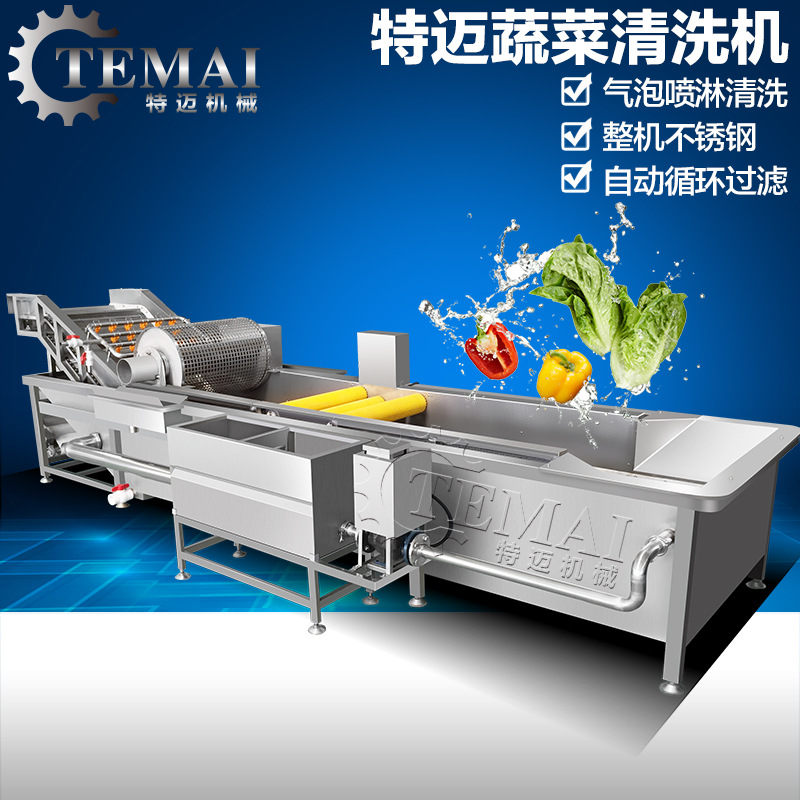 厂家直供多功能蔬果清洗机 多功能不锈钢洗菜机 商用臭氧洗菜机