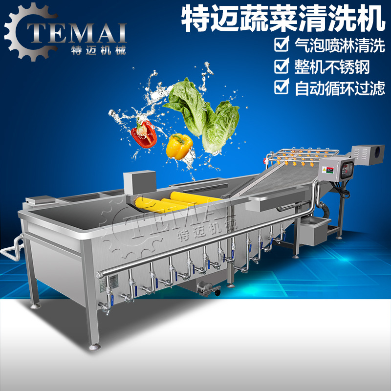 厂家直供多功能蔬果清洗机 多功能不锈钢洗菜机 商用臭氧洗菜机