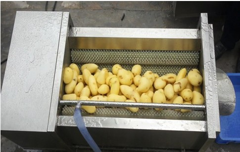 供应毛刷式土豆脱皮机优质商用不锈钢去皮机苏州厂家直销