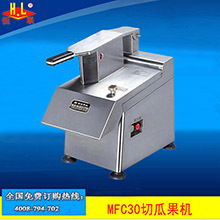 恒联QC200多功能商用切菜机 商用大型切瓜果机Vegetable cutter
