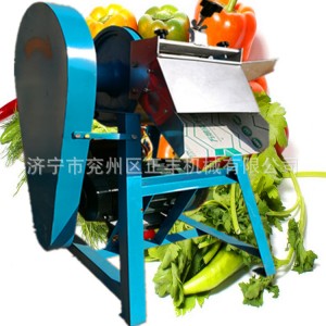全自动商用加工蔬菜机 瓜果切丁切块机 土豆萝卜切丝机 厚薄均匀