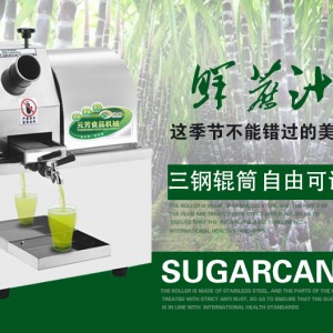 元芳厂家直销商用蓄电池电瓶甘蔗机 全自动不锈钢甘蔗榨汁机台式