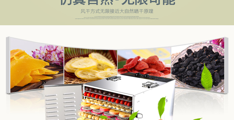 厂家直销小型不锈钢干果机 家用水果蔬菜食物食品药材烘干机商用