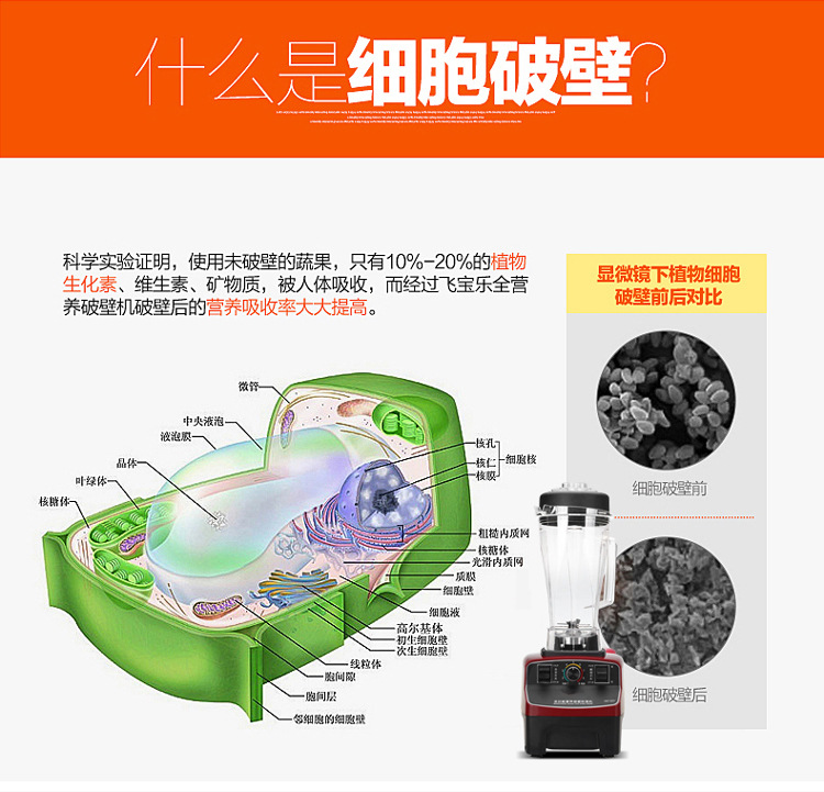 迈科顿碎冰机五谷现磨无渣家用商用破壁机多功能豆浆机料理搅拌机