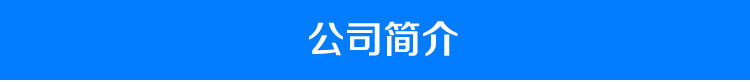 加厚双缸燃气油炸锅商用炸油条油炸炉煤气署塔专用油炸机炸薯条机