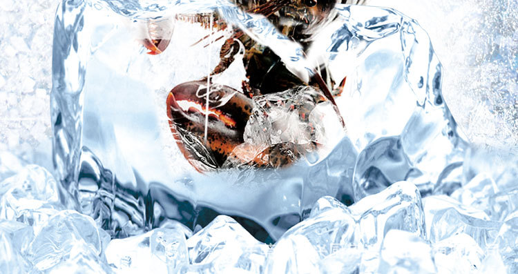 格林斯达星星冰柜商用工作台冷藏冷冻四门机械控温带移动轮直销