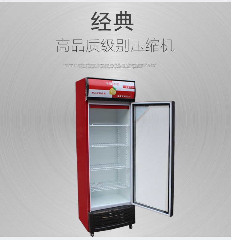 商用单门双门三门饮料啤酒柜冷藏保鲜柜展示柜立式冰柜