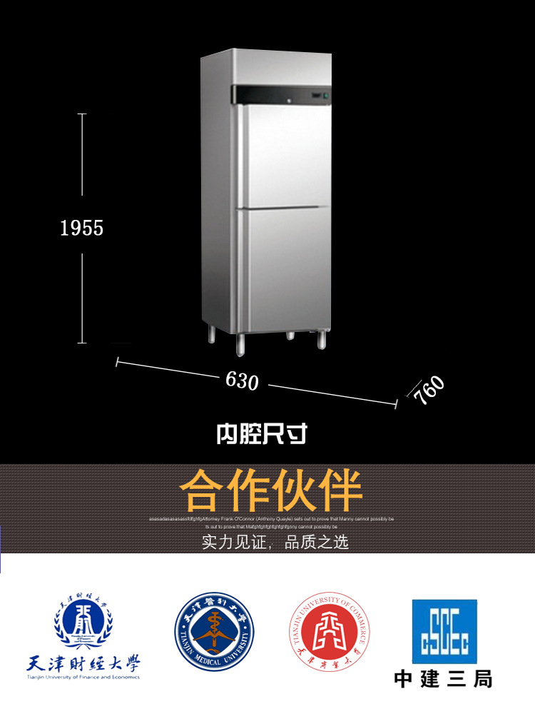 双门冷冻柜 宏泰 中温双门冷冻柜1ZL2 冷冻冷藏商用冰柜双门冰柜