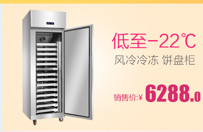 冷鲜肉冻丸子食品展示冰柜冷柜单温风冷冷冻柜饺子柜