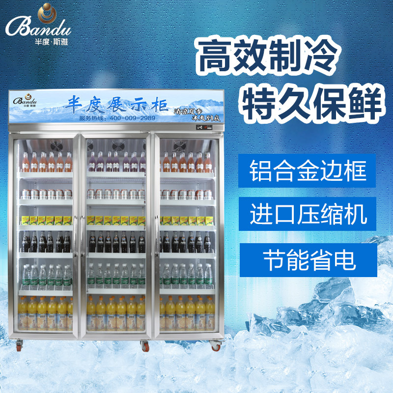 无霜风冷饮料展示陈列冷藏冰柜 超市酒店便利店铝合计玻璃门冰柜