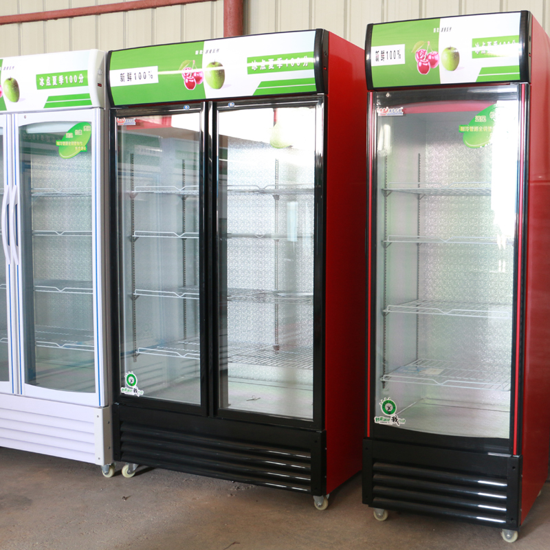 宜鑫佳啤酒柜饮料柜 立式蔬菜冷藏保鲜展示柜 单双门陈列柜