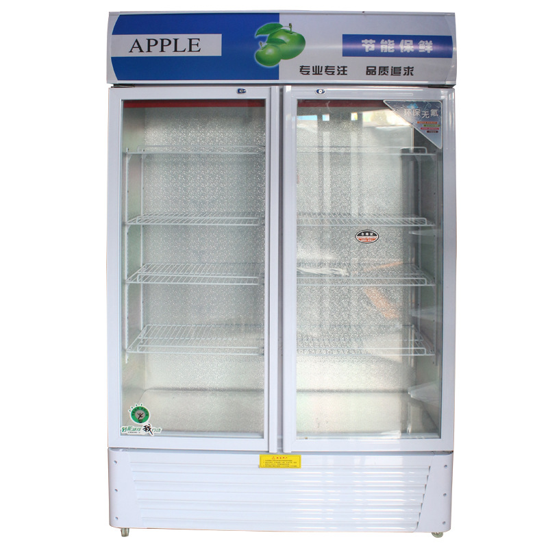 厂家现货供应单门双门啤酒展示柜 冷藏立式冰柜 冷饮保鲜柜