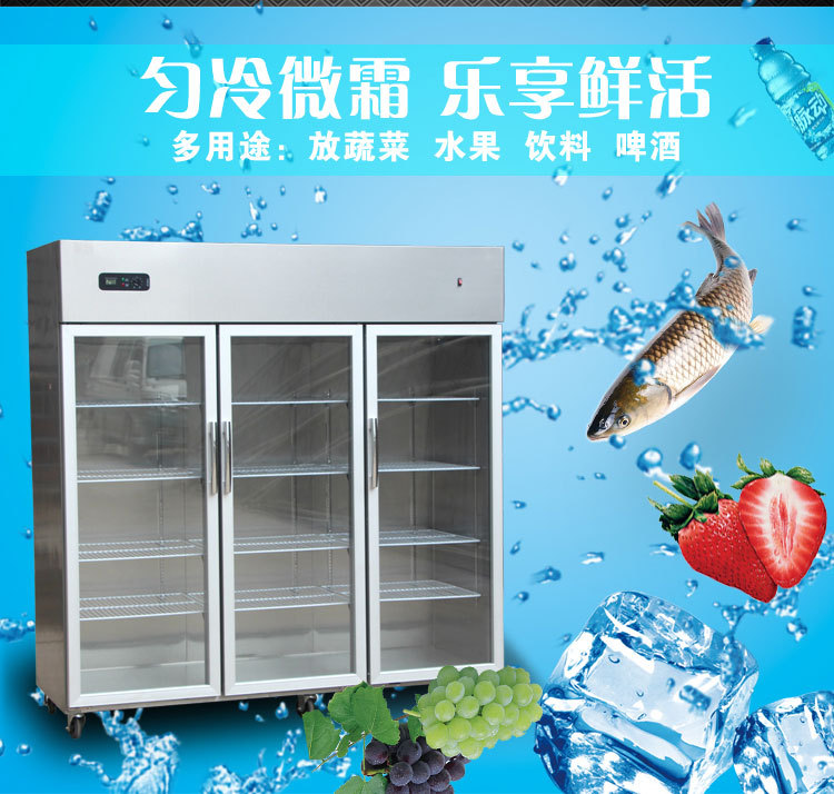 铭雪立式展示柜厨房柜冷柜水果保鲜柜饮料柜陈列柜三门冷藏柜冰柜