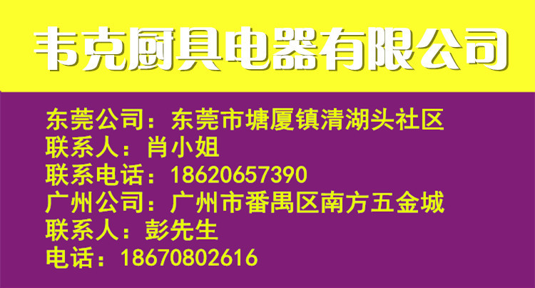 燃气红外线面火炉商用烧烤炉烤鱼炉六头煤气烤箱林内日式烤肉炉机