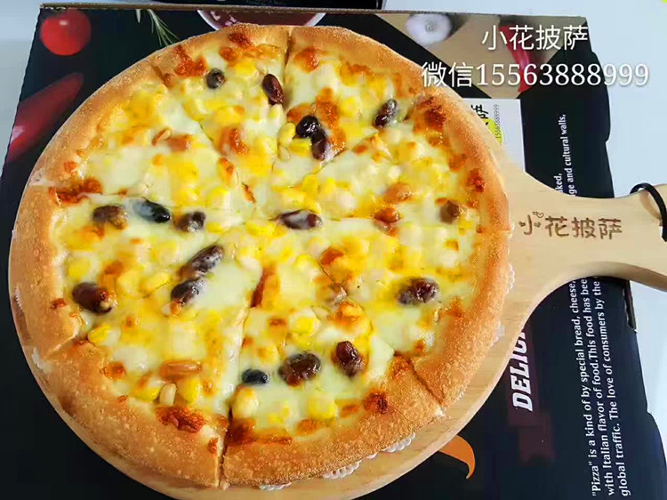 圣纳厂家两层披萨电烤箱 比萨烤炉 pizza oven 商用烤箱火山石板