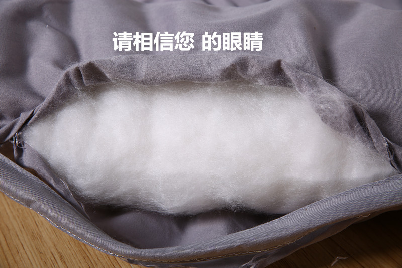 厂家直销床垫批发 酒店宾馆保护床垫床上用品床护垫舒适懒人褥子
